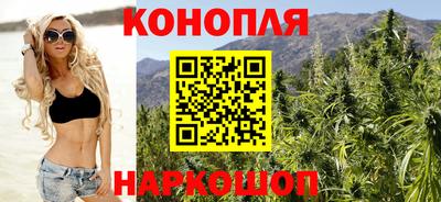 крисы Будённовск