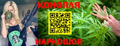крисы Будённовск