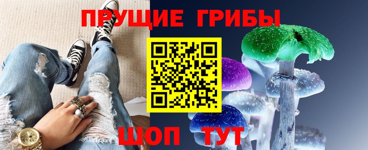 хочу   Вход с VPN  Псилоцибиновые грибы MAGIC MUSHROOMS  Щёкино  Галлюциногенные грибы Cubensis 